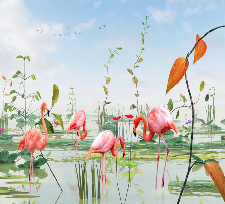 Flamingo Paradise