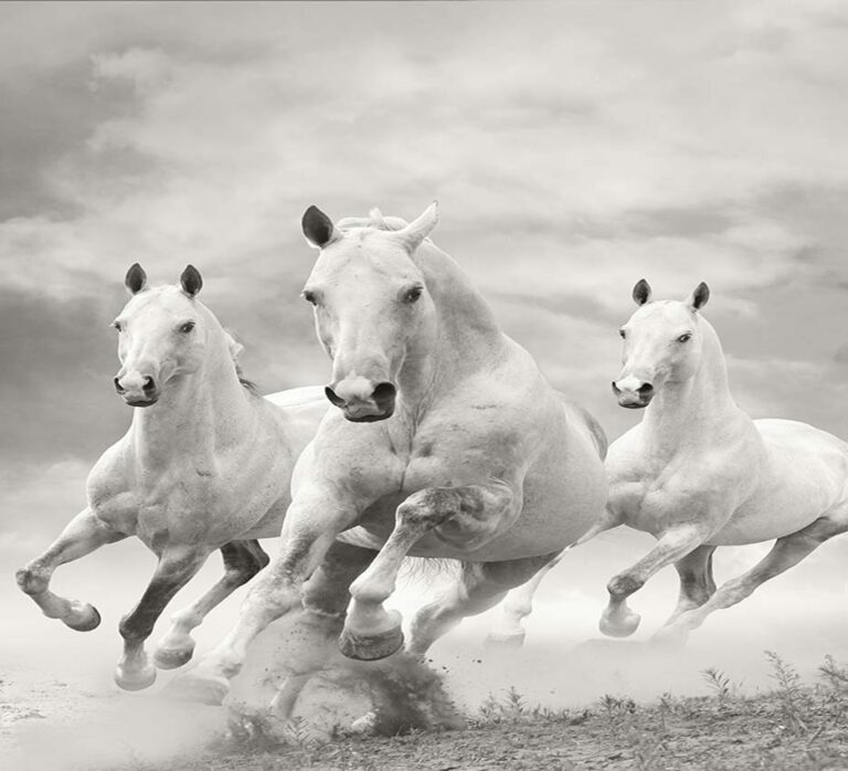 Galloping White Horses