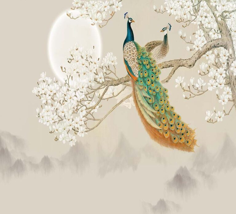 Peacock Paradise