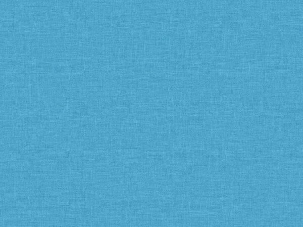 Monz- Caribbean Blue