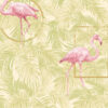 Flamingo - Image 2