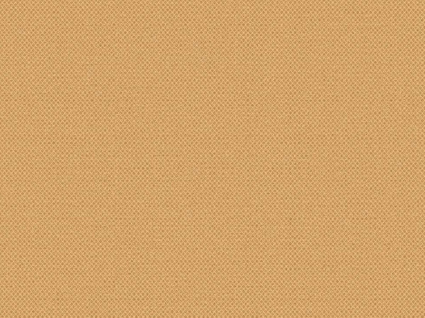 Leather - Image 5