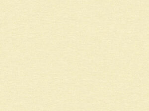 Pattern_Brawny 88473-3