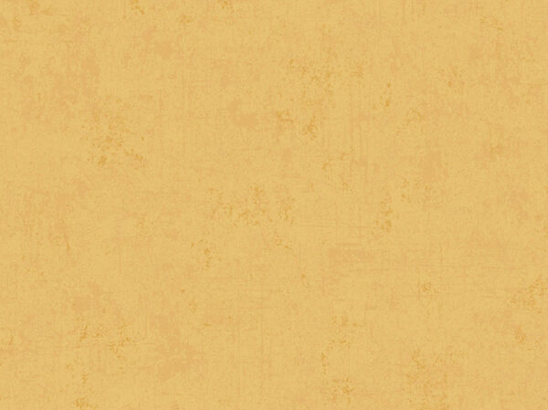 Pris Base - Image 3