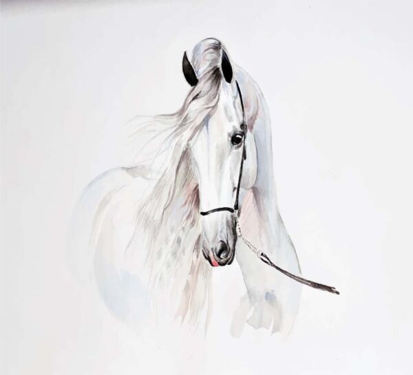 White Horse Portrait