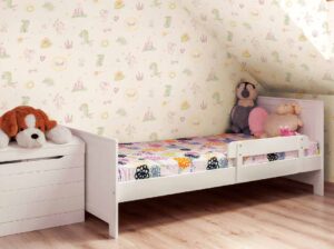 Dreamy Castle and Dragon