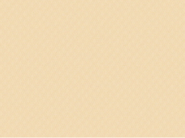 -_Bon 88602-4