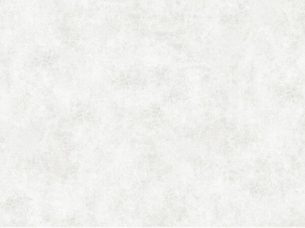Boork - Image 2