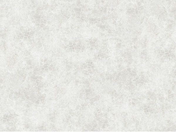 Boork - Image 3
