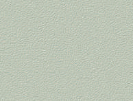 52505 (1)