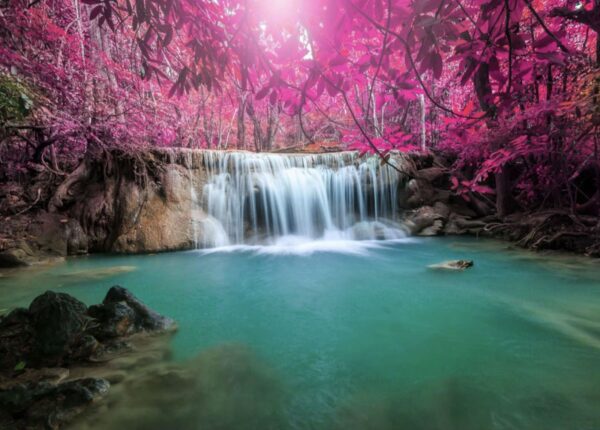 Tropical Pink Forest Waterfall Wallpaper - Vibrant Nature Mural - Image 2